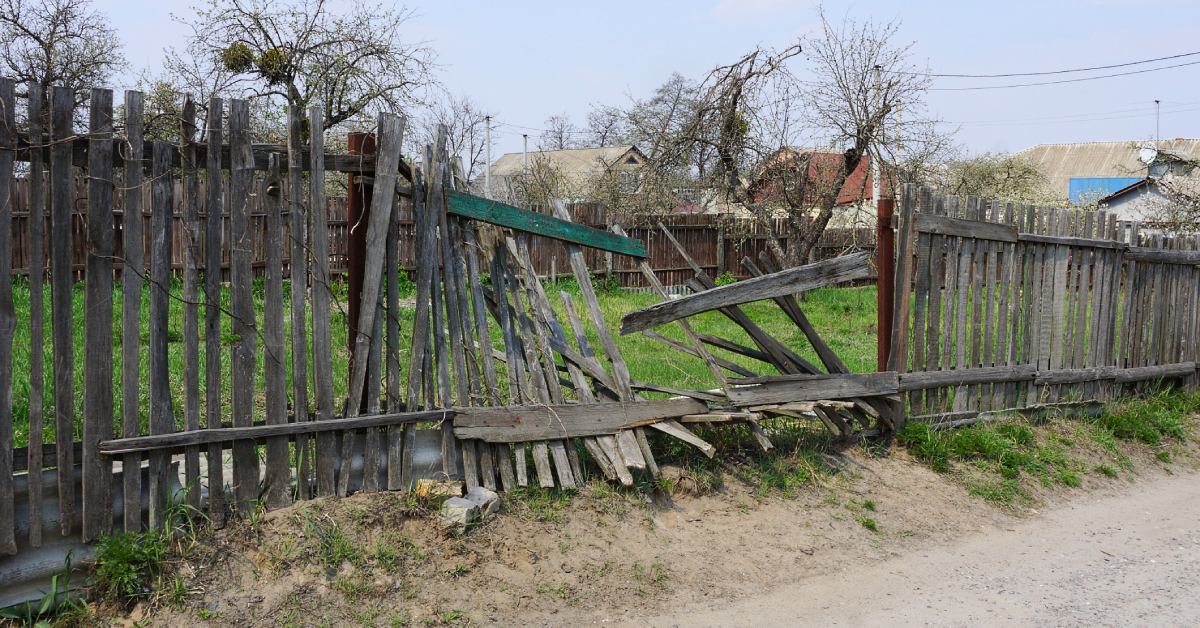 A yard with dead trees surrounded by an old broken fence. There are other structures and power lines in the background.