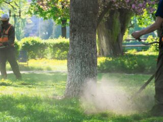 8 Reasons Why You Should Hire a Landscaping Company