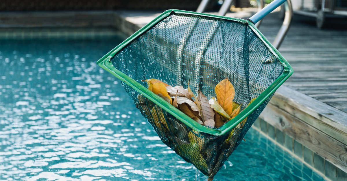 A person using a green net on a pole to clean leaves out of a swimming pool while standing on a wooden deck.