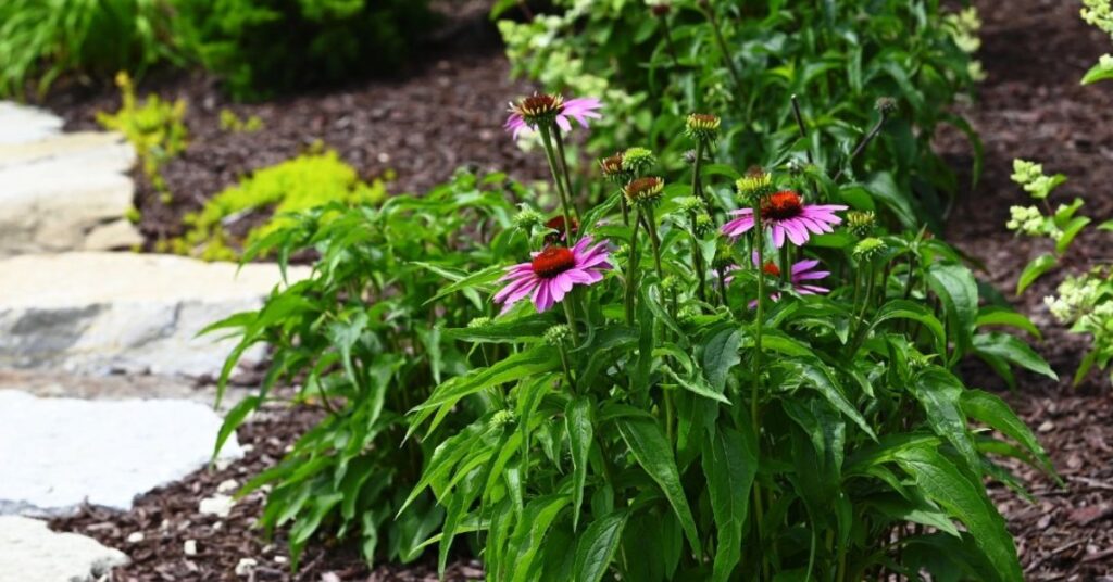 9 Flower Bed Landscaping Ideas To Beautify Your Yard