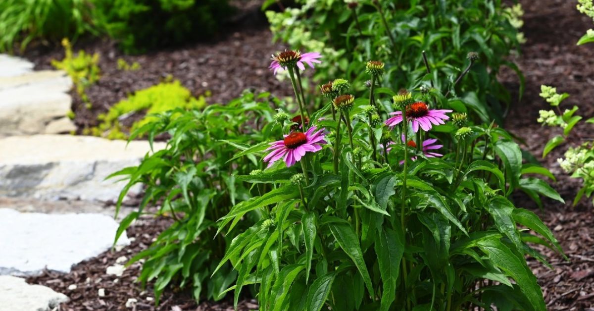 9 Flower Bed Landscaping Ideas To Beautify Your Yard