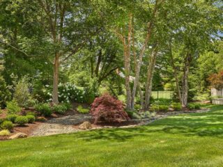 Everything To Know About the Basics of Landscape Design