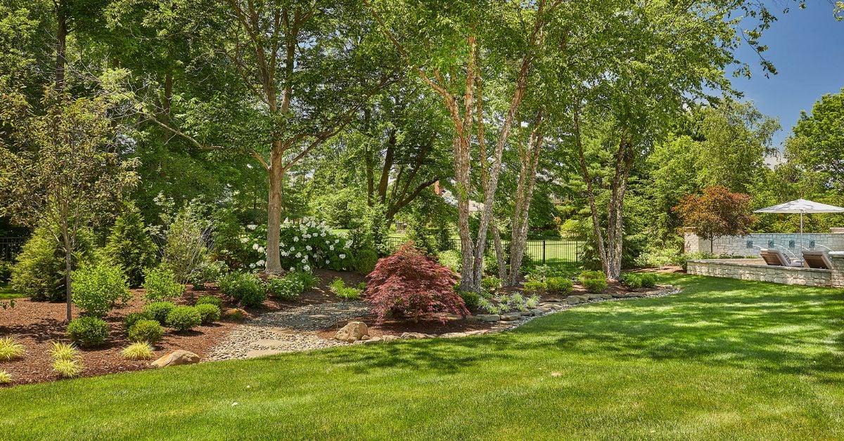 Everything To Know About the Basics of Landscape Design