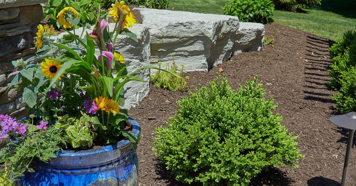 A Complete Guide to Sustainable Landscaping