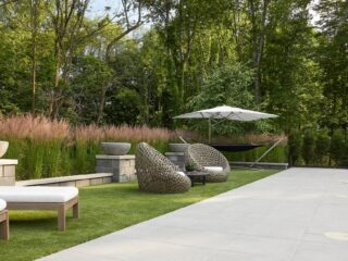A Complete Guide to Choosing Shrubs for Your Yard